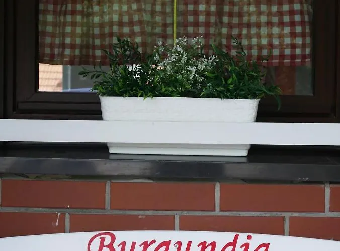 Semesterbostad Niewinne - Burgundia *