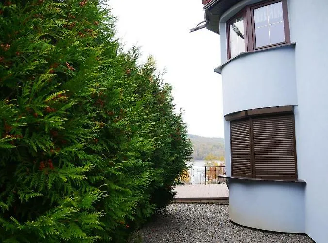 Niewinne - Burgundia Zywiec